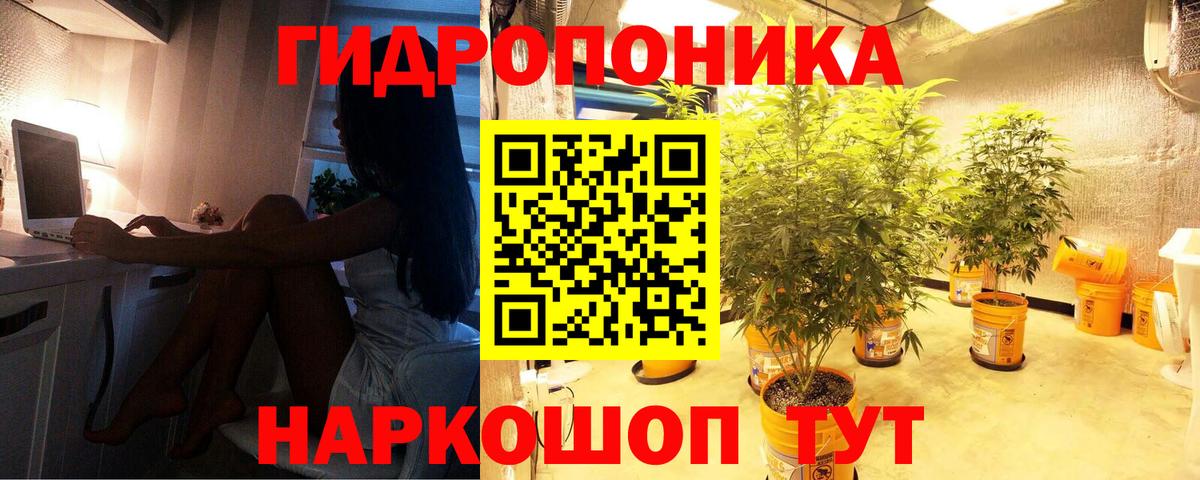 Шелехов  Конопля сатива  Бошки Шишки ГИДРОПОН  Вход с VPN  МАРИХУАНА план 
